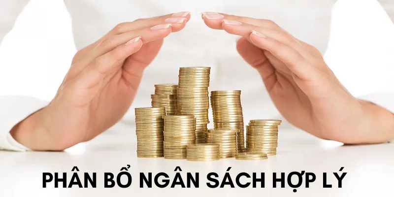 Phân bổ ngân sách hợp lý tham gia đặt cược trực tiếp đá gà Thomo